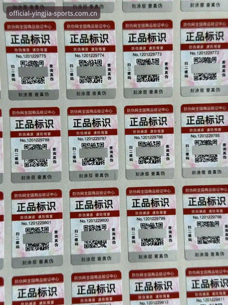 盈嘉体育官网下载iOS版 盈嘉体育官网下载iOS版全面评测:新手必看的安装与真伪辨别指南